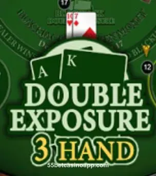 BlackJack 3H Double Exposure D